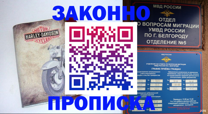 прописка для школы в Красном Куте
